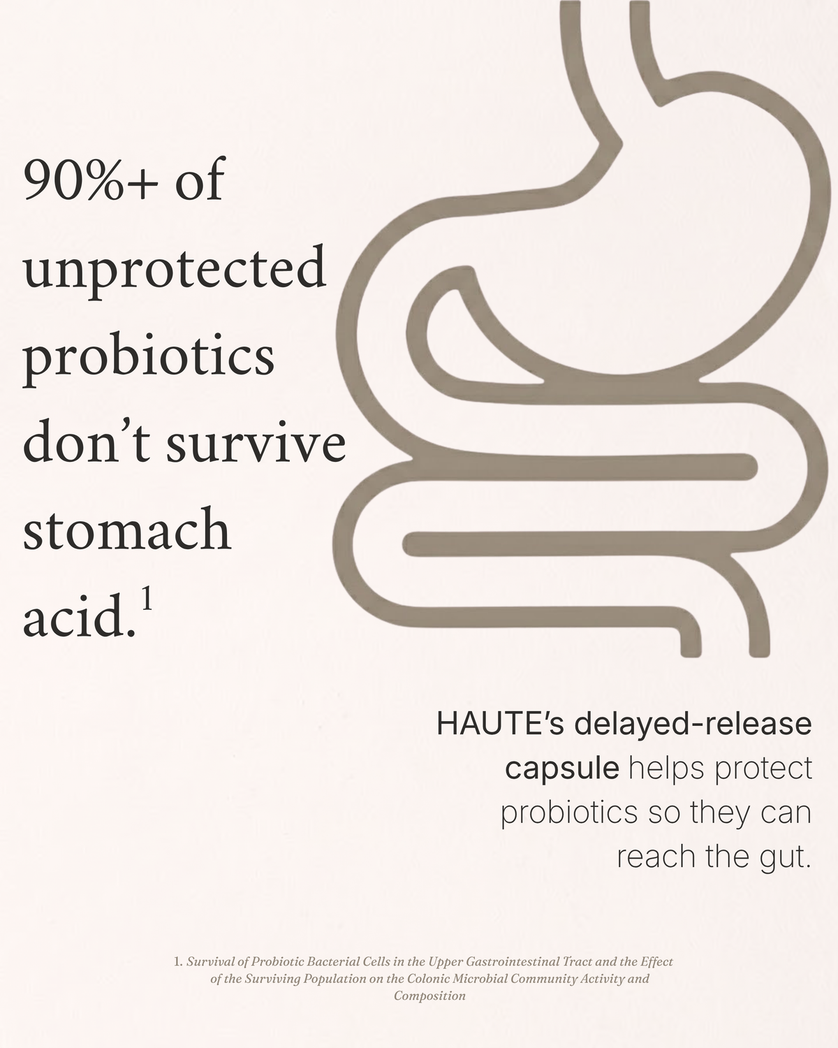 Vaginal Probiotic